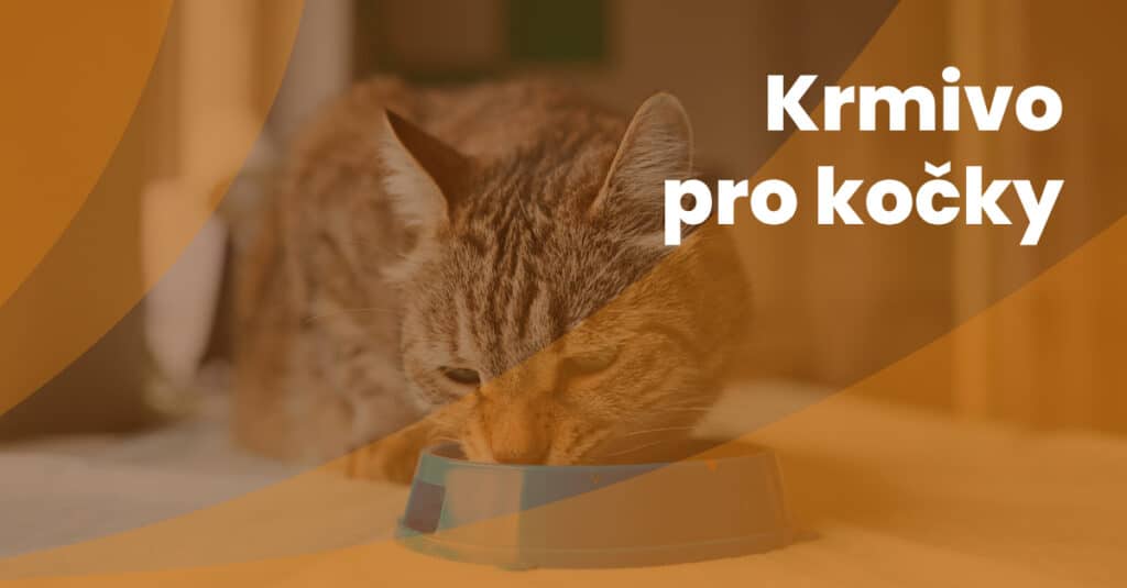 Krmivo Pro Kocky