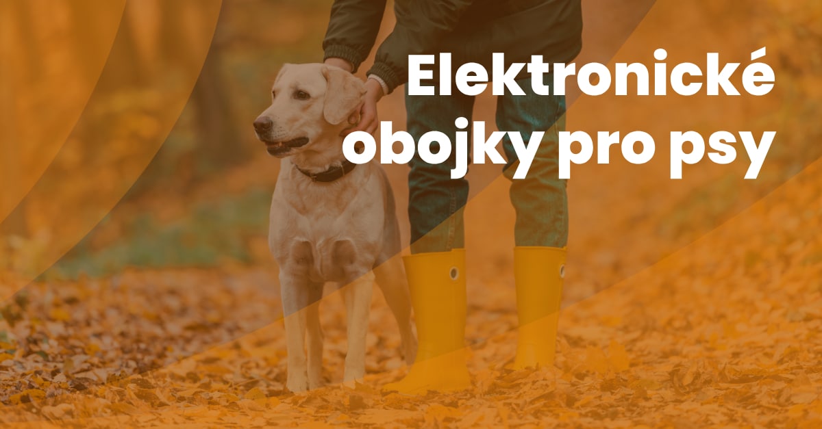 Elektronické Obojky Pro Psy